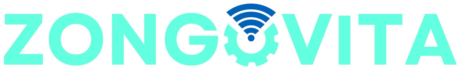 ZV DataLake logo